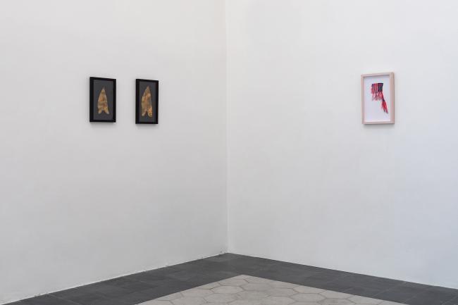Installation view (Danh, Clark)