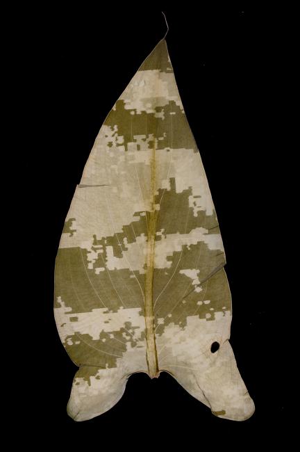 Military Foliage #7